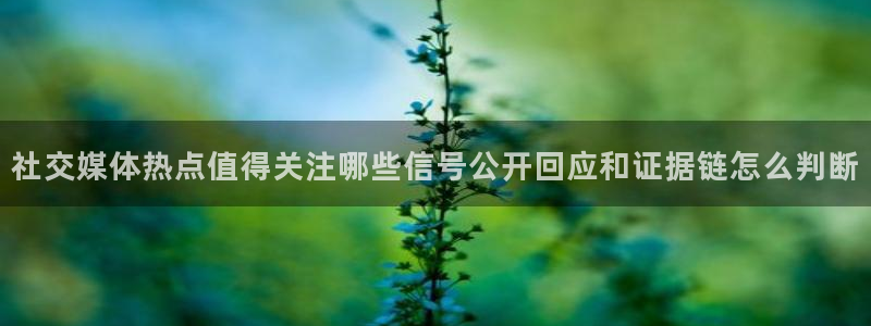 91吃瓜内容大全