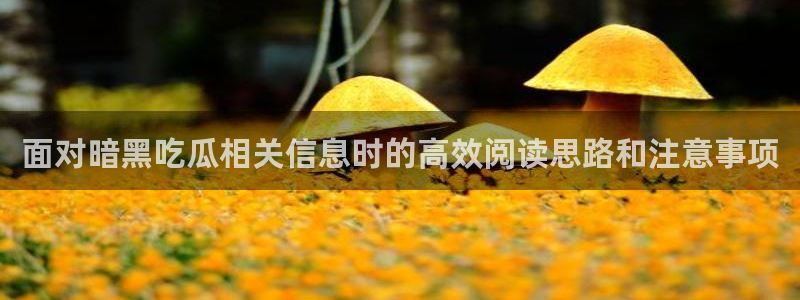 91吃瓜热点大全