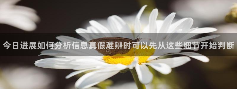 91吃瓜网络动态