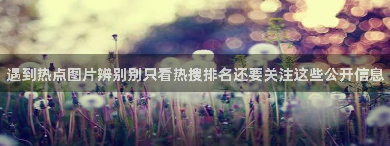 吃瓜网络热点