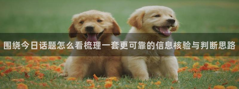 91吃瓜热门事件大全