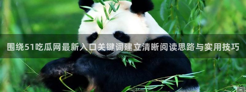 91吃瓜网站入口