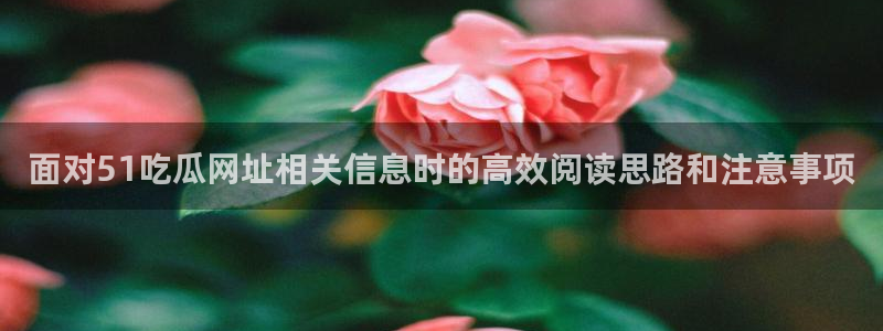 91吃瓜热点网站