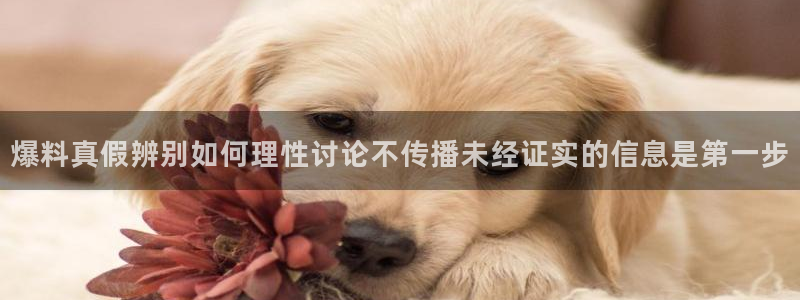 91吃瓜热点信息