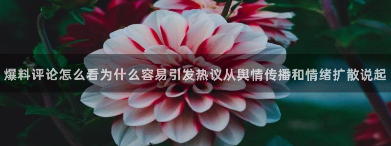 91吃瓜话题大全